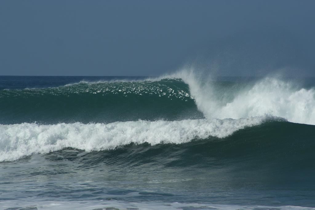 Pacifica Surf Studios Playa Santa Teresa  Exterior photo